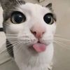 who0_015