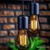 hadira785