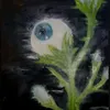 n1ght0wl_m00nl1ght