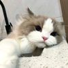 englin.nataniel