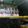 royhantan0