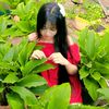 nong.choe