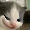 hongduy29