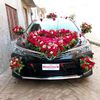 rana.mohsan81