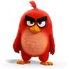 user8581158545854
