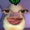 whatthelbroh
