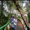 elfii_6725