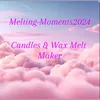 melting_moments2024