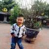 thuy.thuy5658