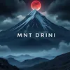tmsdrini