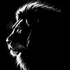 congo.love7