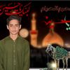 fakharabbas5512