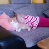 vxemiliaa