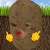 ng_.thzun_