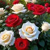user7905161561857