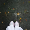 _apricity_._