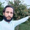 pti804rasooljan2