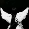 angelsu1c1de