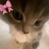 bella.zhu8