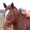 epic.moments_on.horses