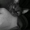 aramir_xnxx