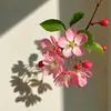 my_33112