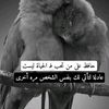 ali.isawi4
