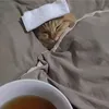 sr_iu2