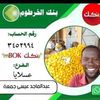 user3688260773155