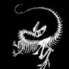 fran_predator