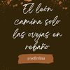 seferina0