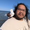 pigeonstagrammer