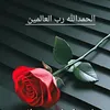 nimra.malik307
