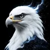 falcon.of.prey51