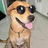 user461650607