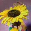 luci_4250