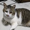 shiina.asano417