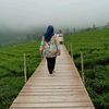 cicisinarmulya13
