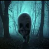 jack.richard03