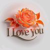 user17250573370095