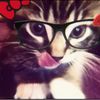 ansongot_the.cheesetouch