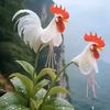 nyin.chen.aung