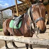 ittz_girl5