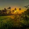 entah_lah231