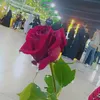 as.iraq12