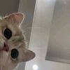 liann_137