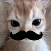 sxnwah.rzae