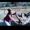 thegathoni