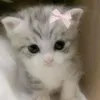 .moexyt