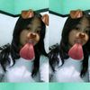 juitaaaa.aa
